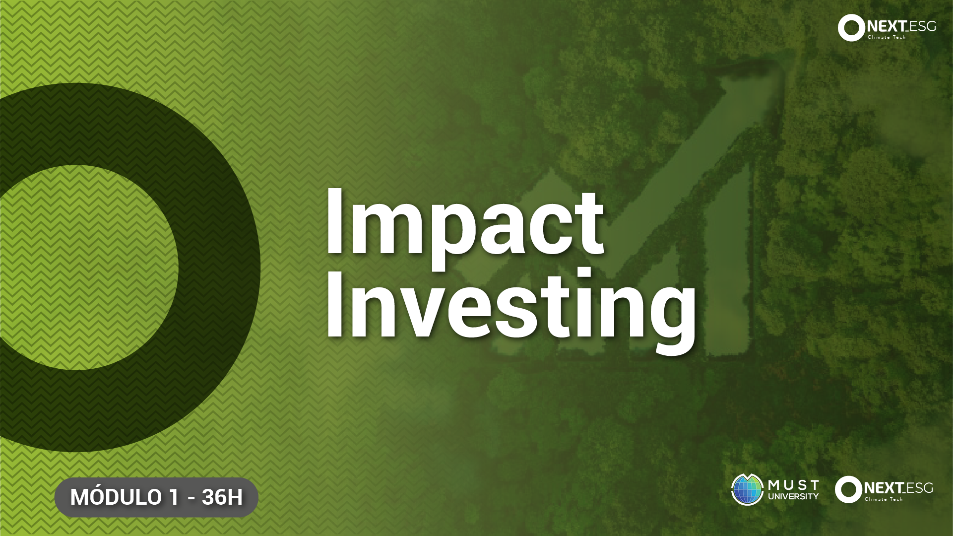 Investimento de Impacto